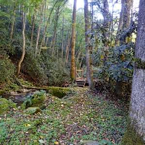 Waterfall Haven Camping