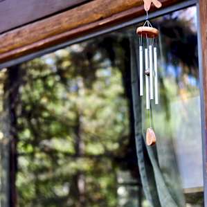 Iron Horse Forest River Cabin
