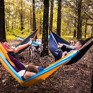 Excellent hammock trees for some great hang time!