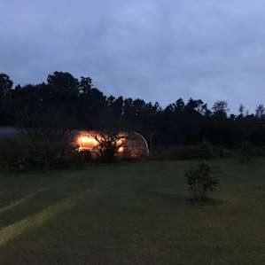 A view of the greenhouse at dusk. You can see the faery lights strung about, which really illuminated the night