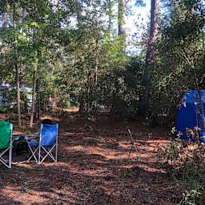 The camp site - firepit and outhouse included!