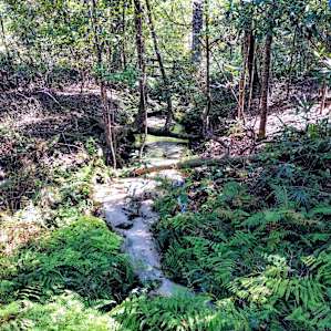 There is a bridge system and short trail around the ravine.