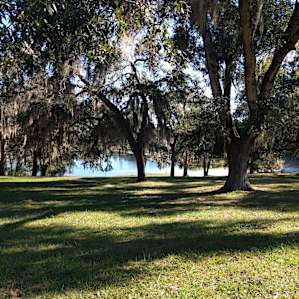 Lots of space for running around and picnics!