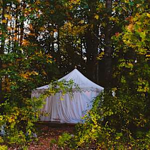 forest lodging canvas tent