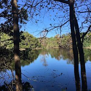 Pond view from the trail