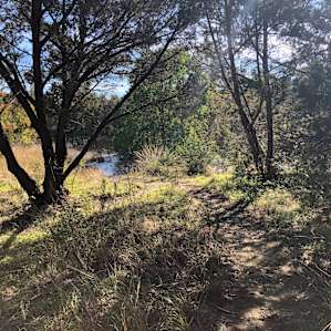 Beautiful hill country landscape