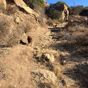 ONE of the hikes!