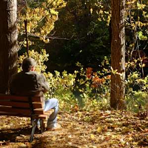 Peace and quiet.