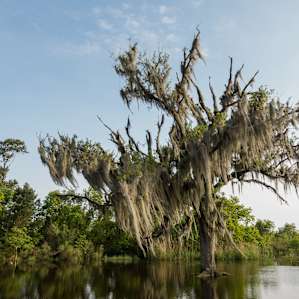 Flooding in Fontainebleau State Park.