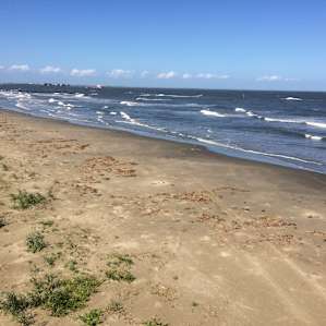 The beach at Grand Isle State Park campground.