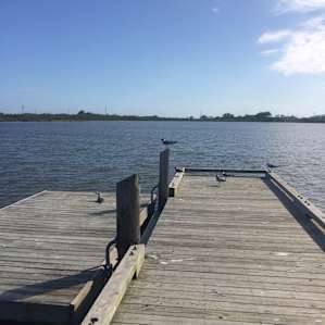 A lagoon opposite the Grand Isle State Park campground.