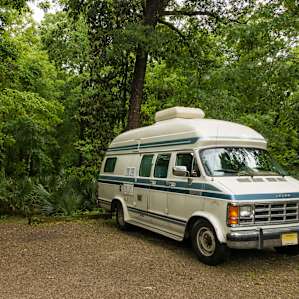 A campsite in Palmetto Island State Park.