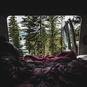 View out the back of our camper van in our campsite.