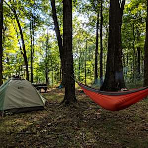 The campsite has plenty of space for a tent and hammock!