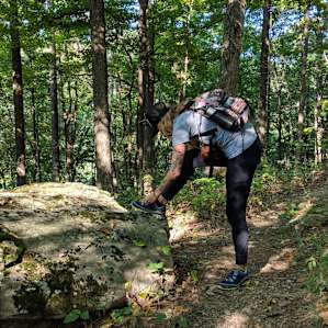 Trails all around are perfect for day hikes from Bird Mountain campsite :)