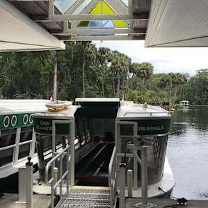 The classic glass bottom boats that have been there since the 60s. Used to tour guests through the crystal clear springs