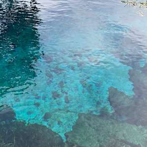 A springhead in the beautiful crystal clear springs