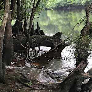 Water streaming into the river