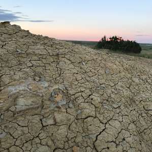 The dry bed of the ground