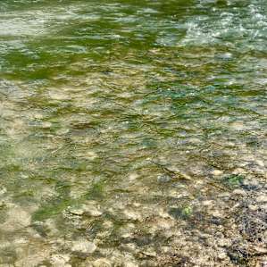 Crystal clear water in the river