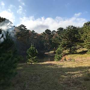 View near our campsite