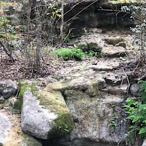 Secluded Lago Vista Tent Camping