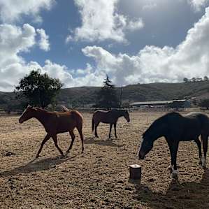 Hollister Peak Loft & Horse Stables