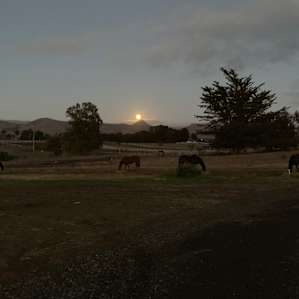 Hollister Peak Loft & Horse Stables