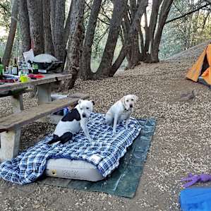 Cassie and Wyatt relaxing at our site