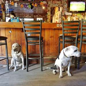 Cassie and Wyatt relaxing at the bar!
