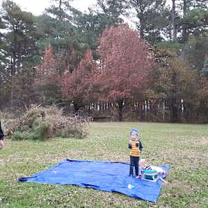 Rock Hill Campsite