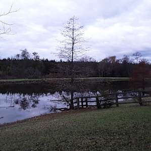 Rock Hill Campsite