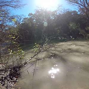 Lost Woods Campground
