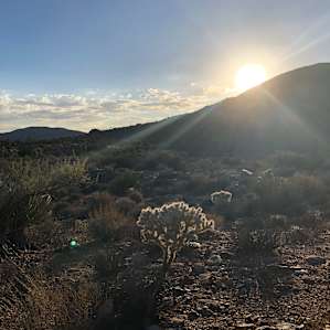 Embrace Wonder Valley @thebirdline