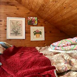 Willoughby Forest Orchard Cabin
