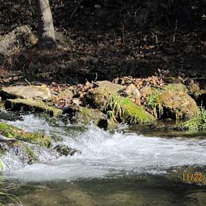 Mini rapids between each trout-filled pool