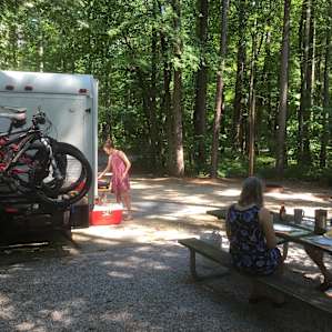 Wonderful privacy, beautiful shade!