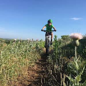Did I mention the fun trails?