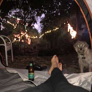 Camp/car on farm in Captain Cook