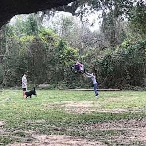Texas Treehouse Swings Forest