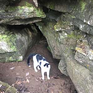 Adventure Bean