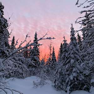 Beautiful winter sunsets