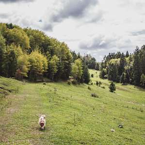 Upper Karr Recreation Area
