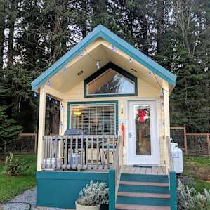 The Birder at Sheltered Nook