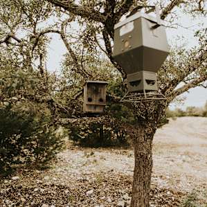There are feeders all around the property. If you stay still and quiet for even a short amount of time, the animals will come out to eat and you are in perfect position to watch them!