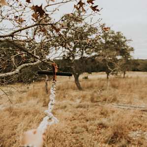Enjoy a zipline between two live oaks. Unfortunately I was too tall to enjoy it myself.