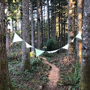 Snug in the woods.