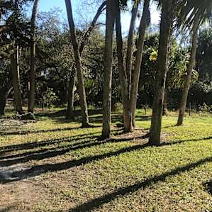Taste of Old Florida