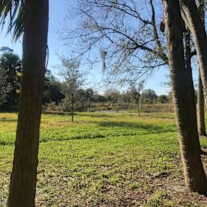 Taste of Old Florida