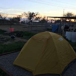 Tent Camping Paradise in NE Tucson